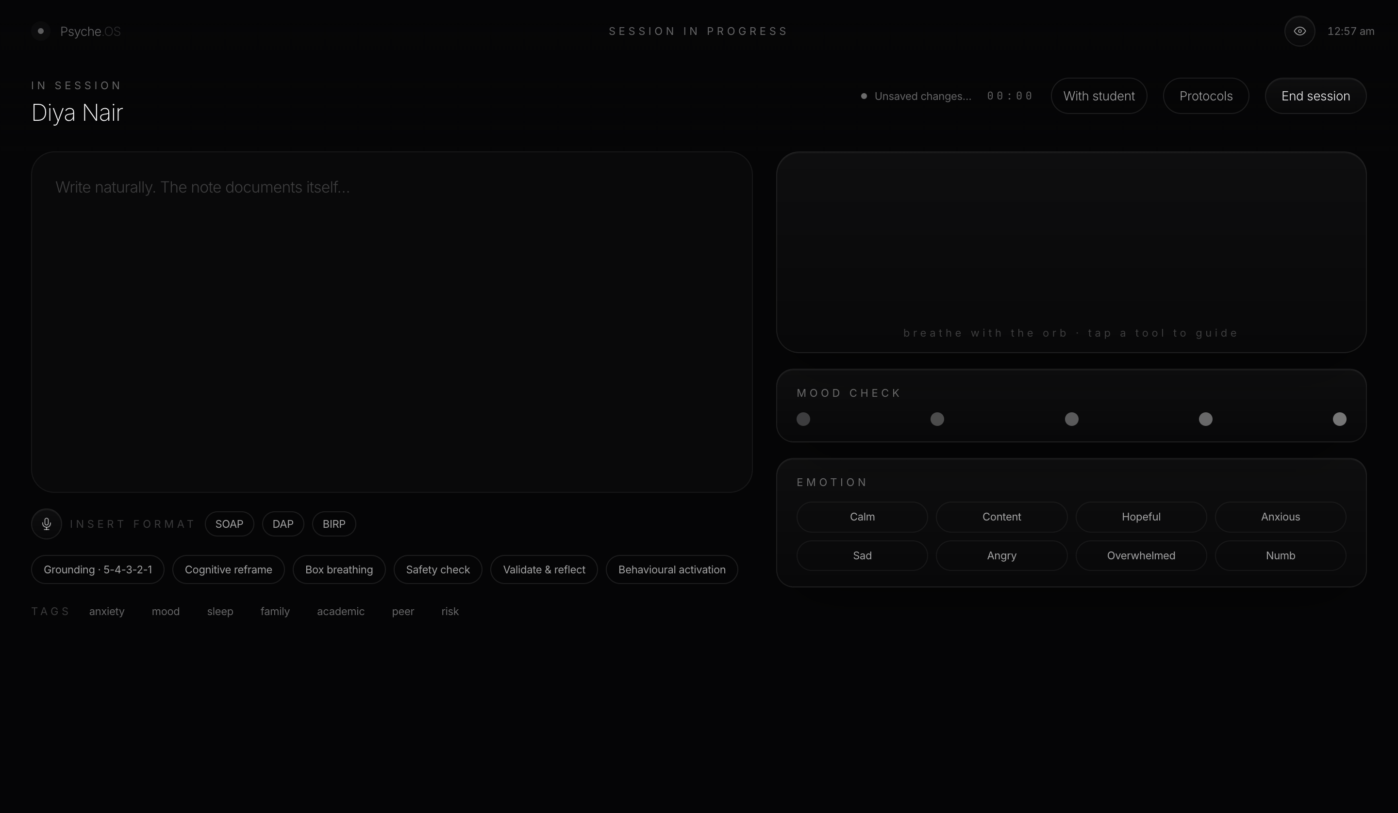 Psyche.OS session mode, a single distraction-free writing surface with SOAP, DAP, and BIRP format tools, guided protocols, and mood and emotion tracking.